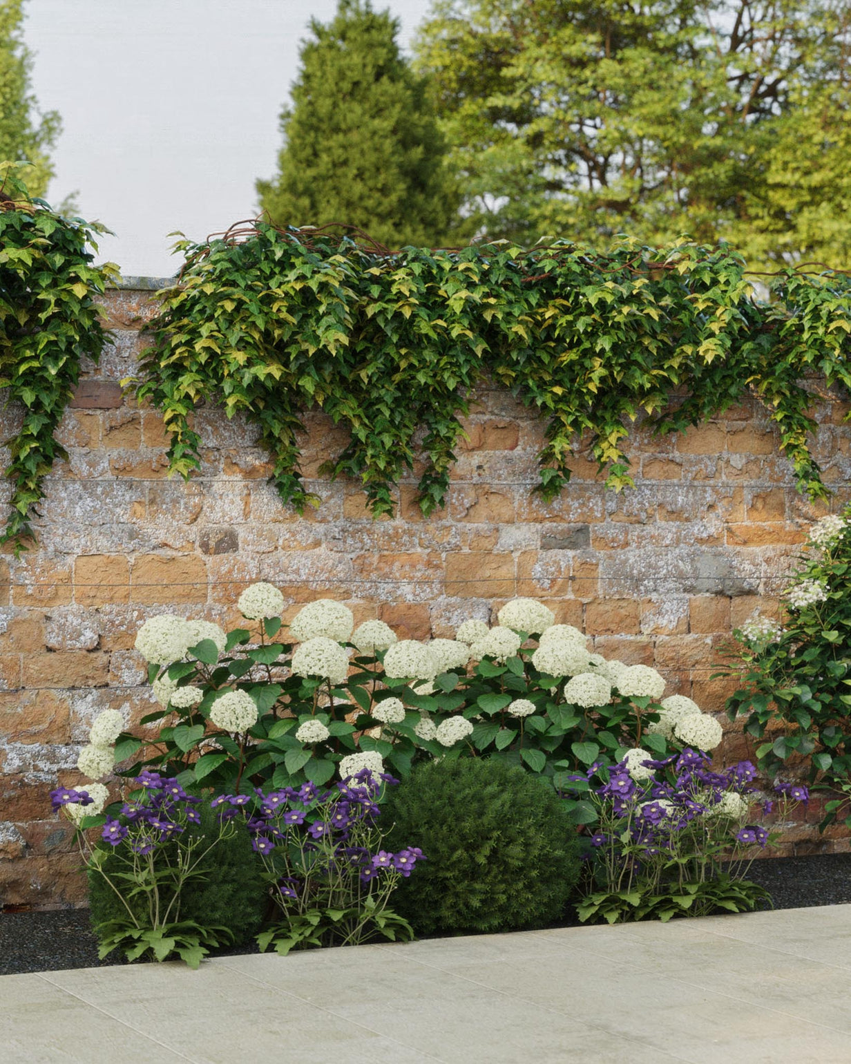 products/SOTOClassicProduct-ViewB-Shade2mNarrow.jpg